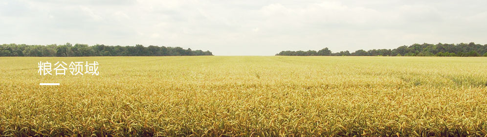 糧(liang)谷領域(yù)